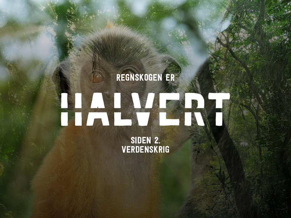 12115759_10153706777757140_1341870897207646123_n