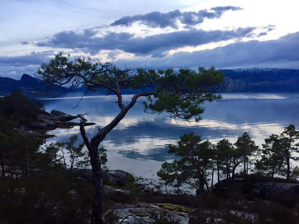 17798921_10154864295291321_5142514261628240293_n